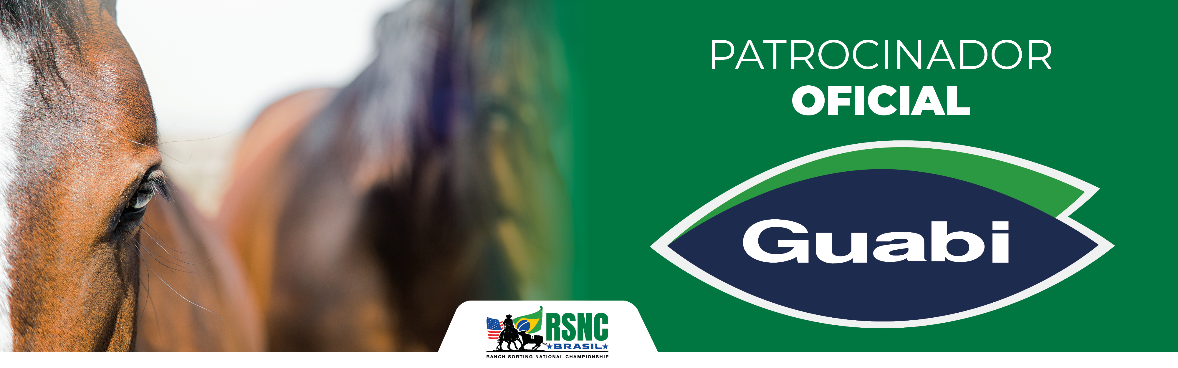 Banner RSNC